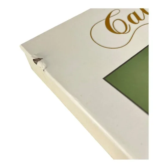 SpiceBox Masterclass Calligraphy Writing Set Instruction Guide Pens Ink NIB - Picture 7 of 11